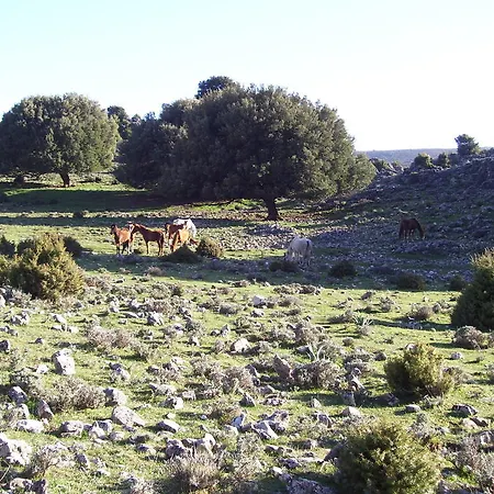 Alloggio per agriturismo Didone *