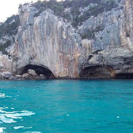 팜스테이 Didone *