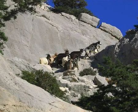 팜스테이 Didone *