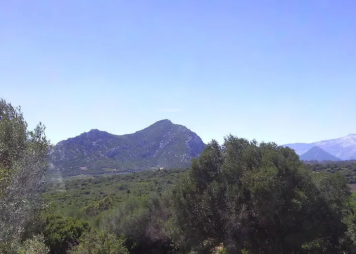 Alloggio per agriturismo Didone