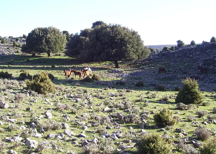 Alloggio per agriturismo Didone *