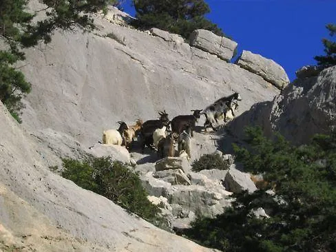 Alloggio per agriturismo Didone *